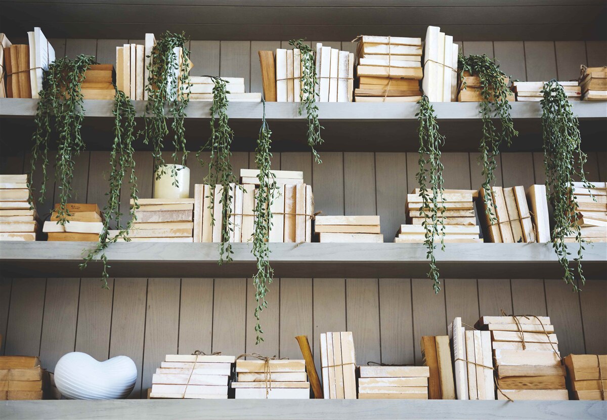 Fotobehang planken met boeken en groene planten creëren een gezellige sfeer