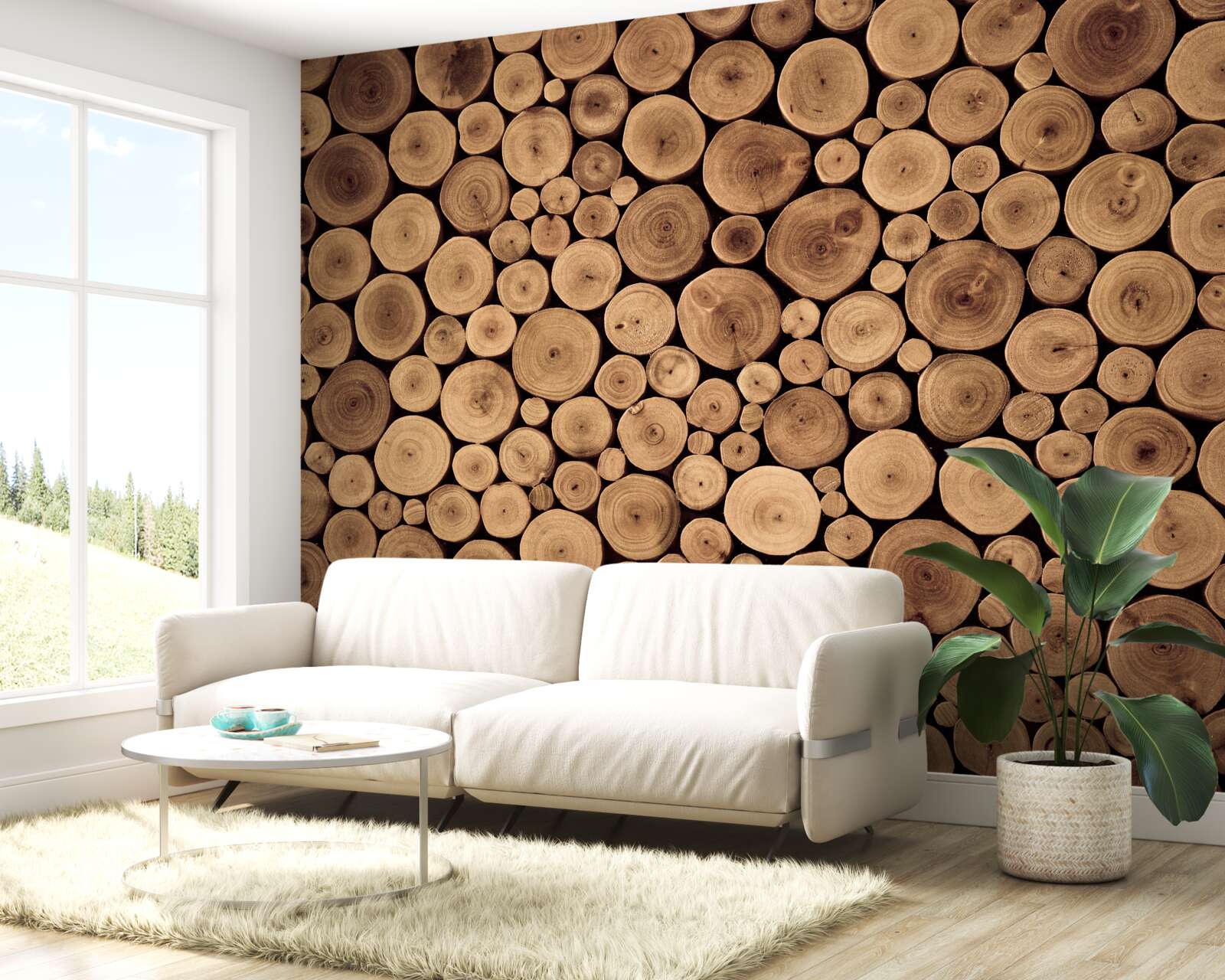 Fotobehang voorzichtig rond boomstammen snoeien