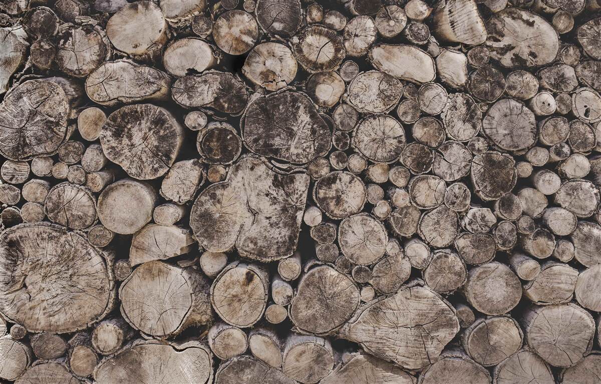 Fotobehang onreine stukken hout