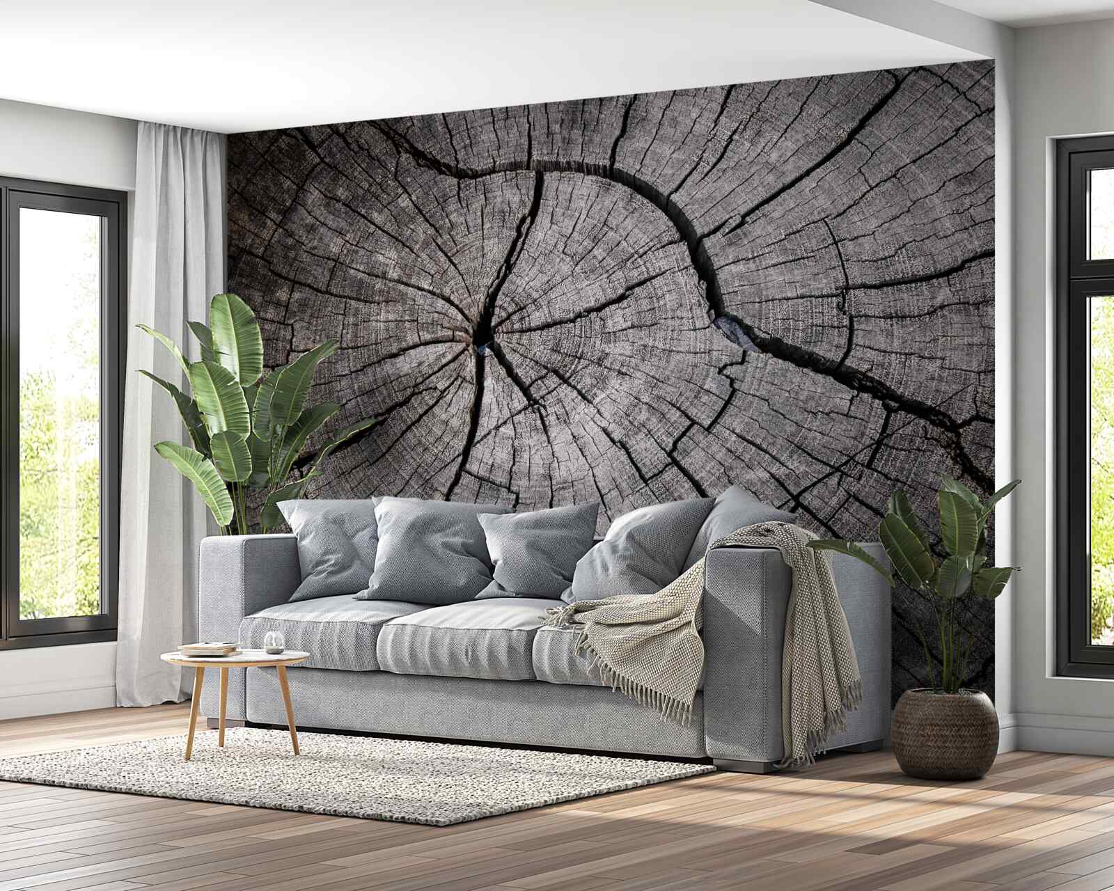 Fotobehang scheuren lopen door het oude hout