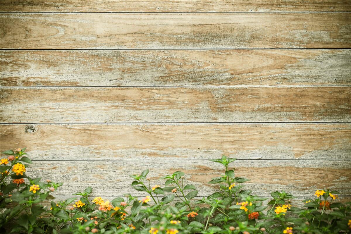 Fotobehang gele bloemen op de achtergrond van het parket omgeven door groen