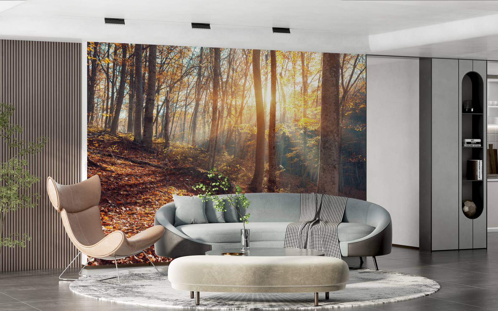 Fotobehang het in mist gehulde ochtendbos ervaart de warmte van de zon