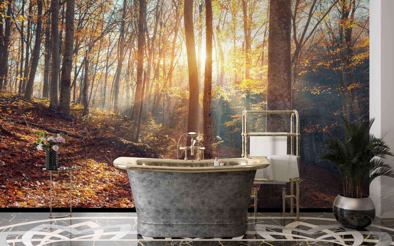 Fotobehang het in mist gehulde ochtendbos ervaart de warmte van de zon