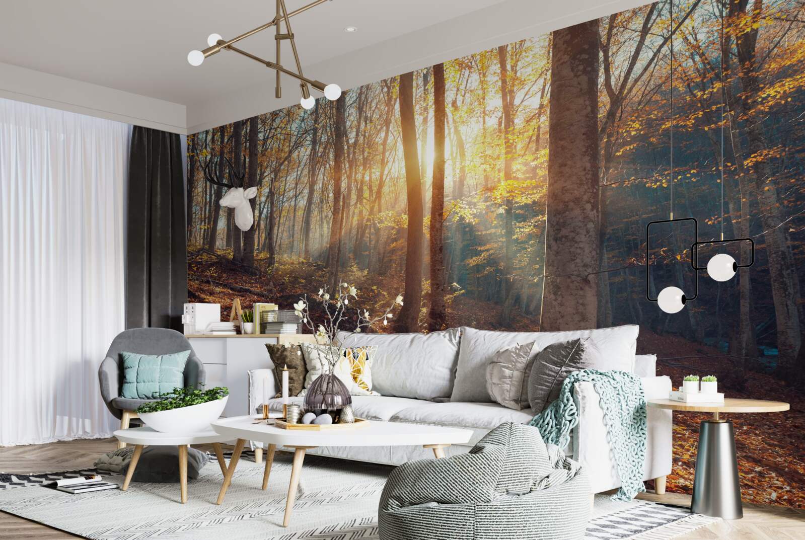 Fotobehang het in mist gehulde ochtendbos ervaart de warmte van de zon