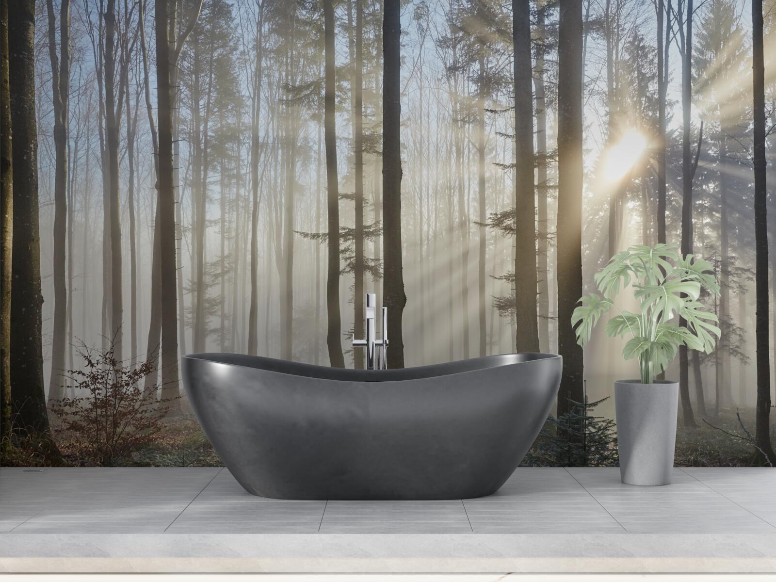 Fotobehang zonnestralen doorboren de mist in een struikgewas