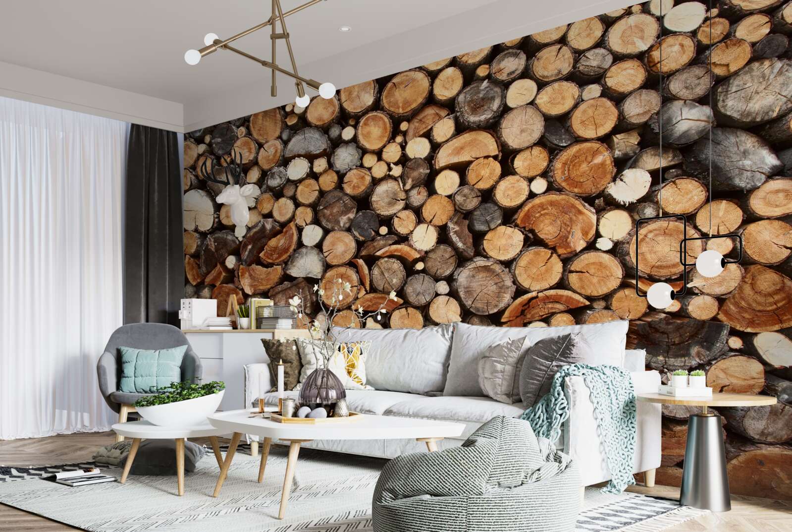 Fotobehang boomschijfjes in verschillende kleuren