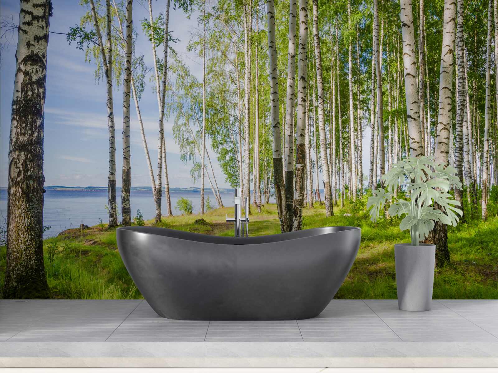 Fotobehang open plek met berkenbomen bij het meer, omgeven door groen