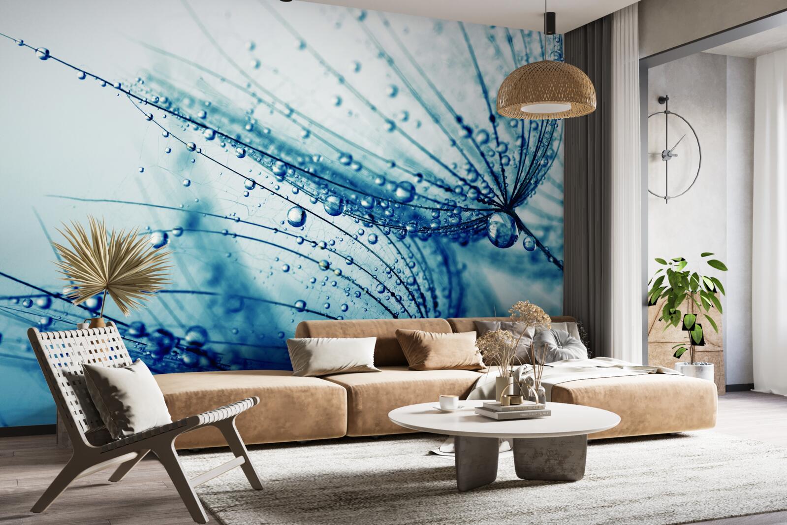 Fotobehang paardenbloem druppels