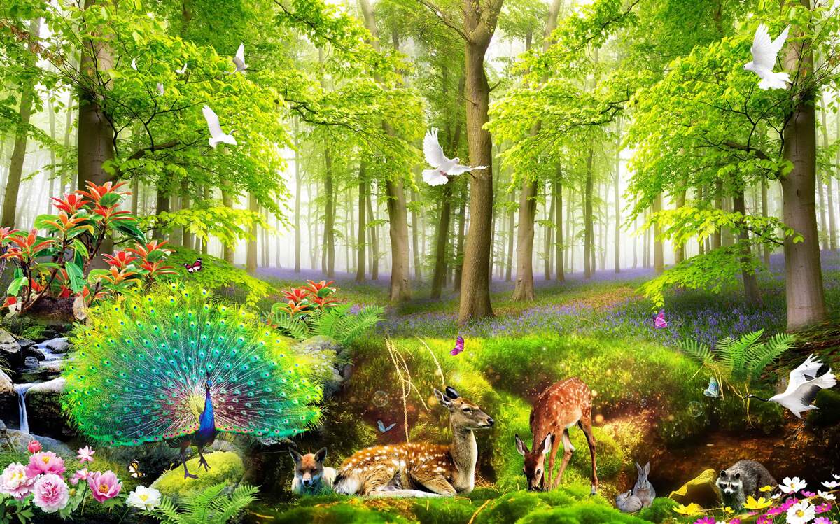 Fotobehang fauna van de groene zomerbossen