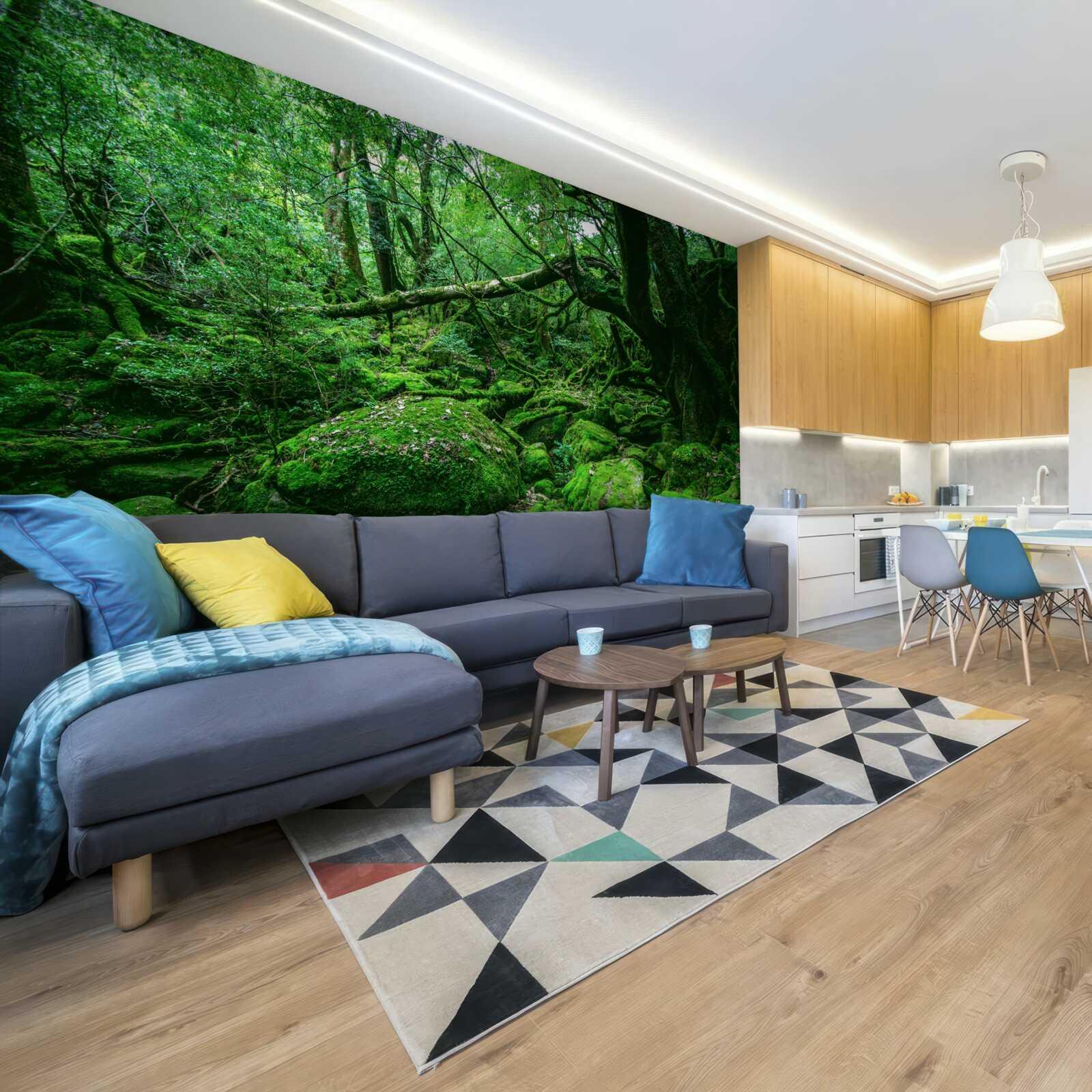 Fotobehang bos, overvloedig groen, zonder zonlicht