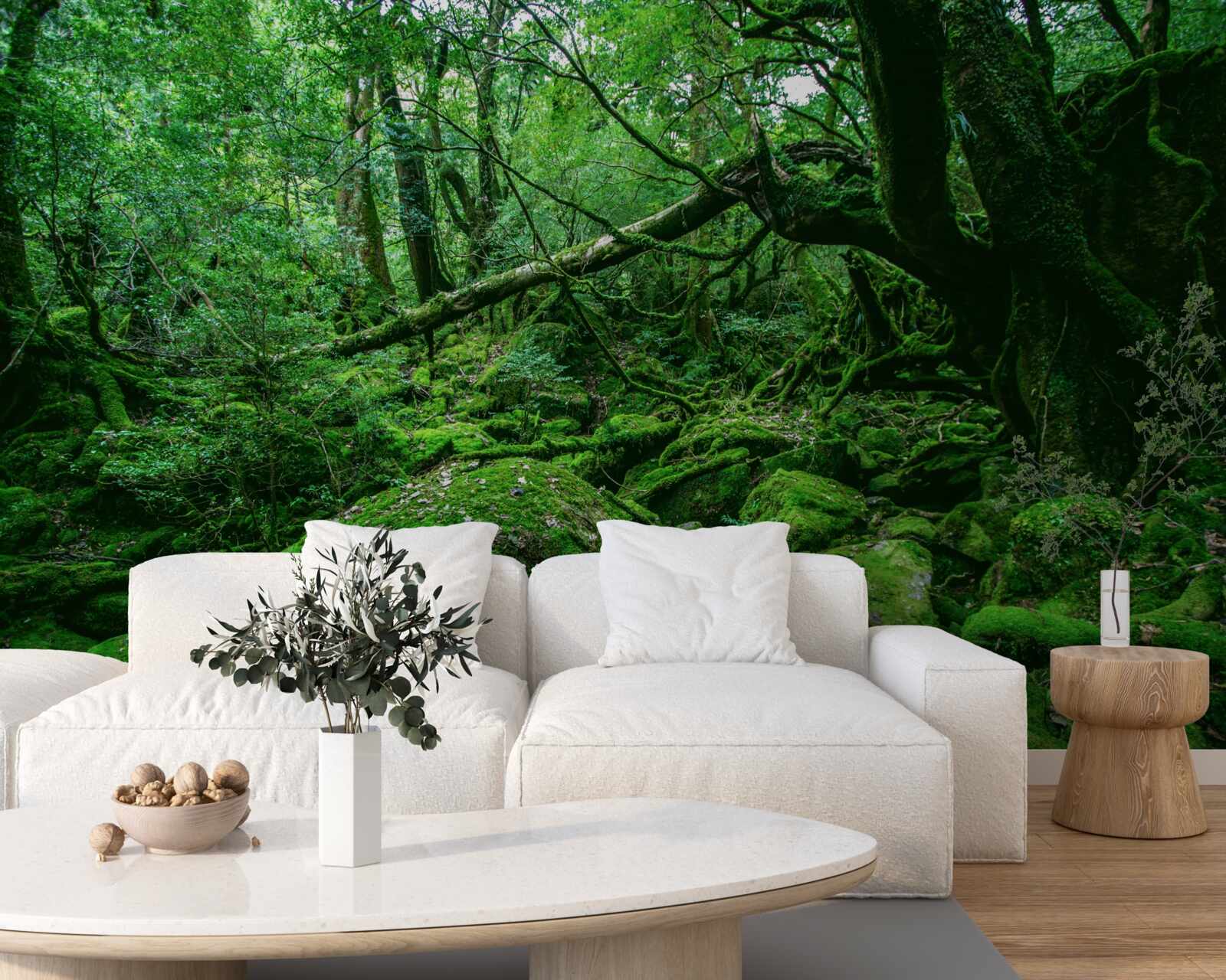 Fotobehang bos, overvloedig groen, zonder zonlicht