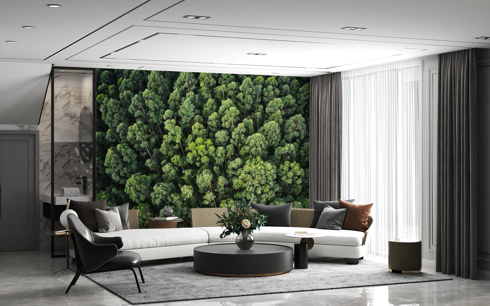 Fotobehang bosbomen met groene kronen