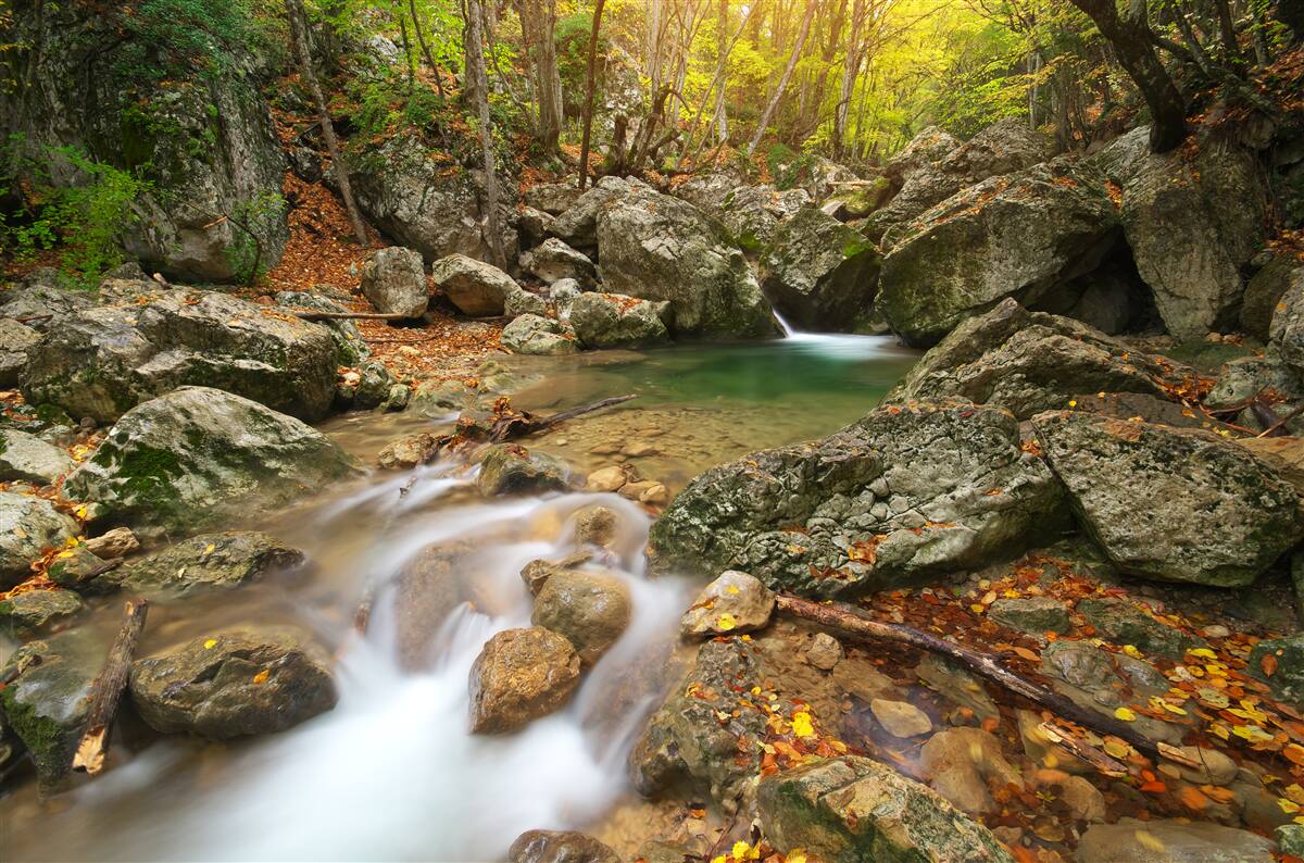 Fotobehang rivierstroom in de herfst