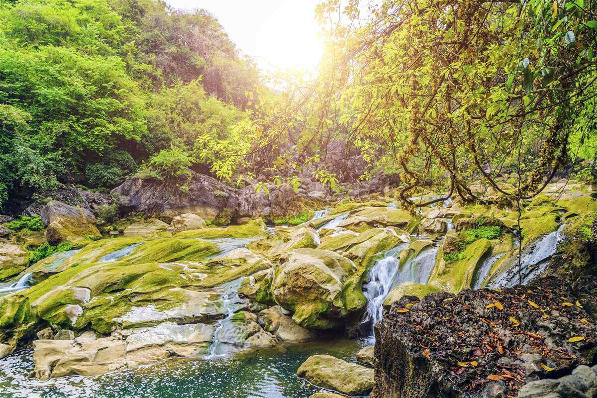 Fotobehang zonsopgang over de rivier met zijn kleurrijke natuur