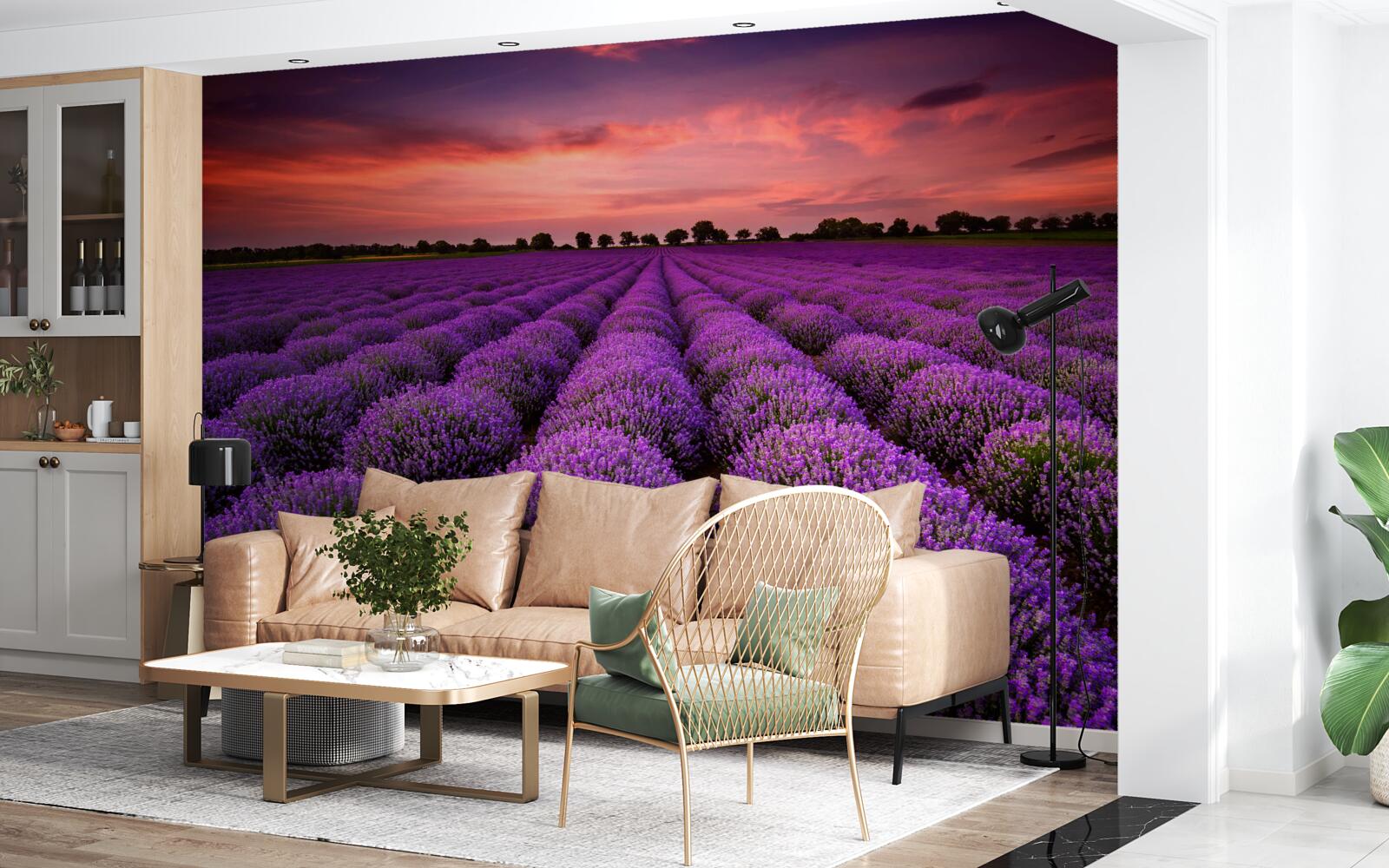 Fotobehang een prachtig lavendelveld