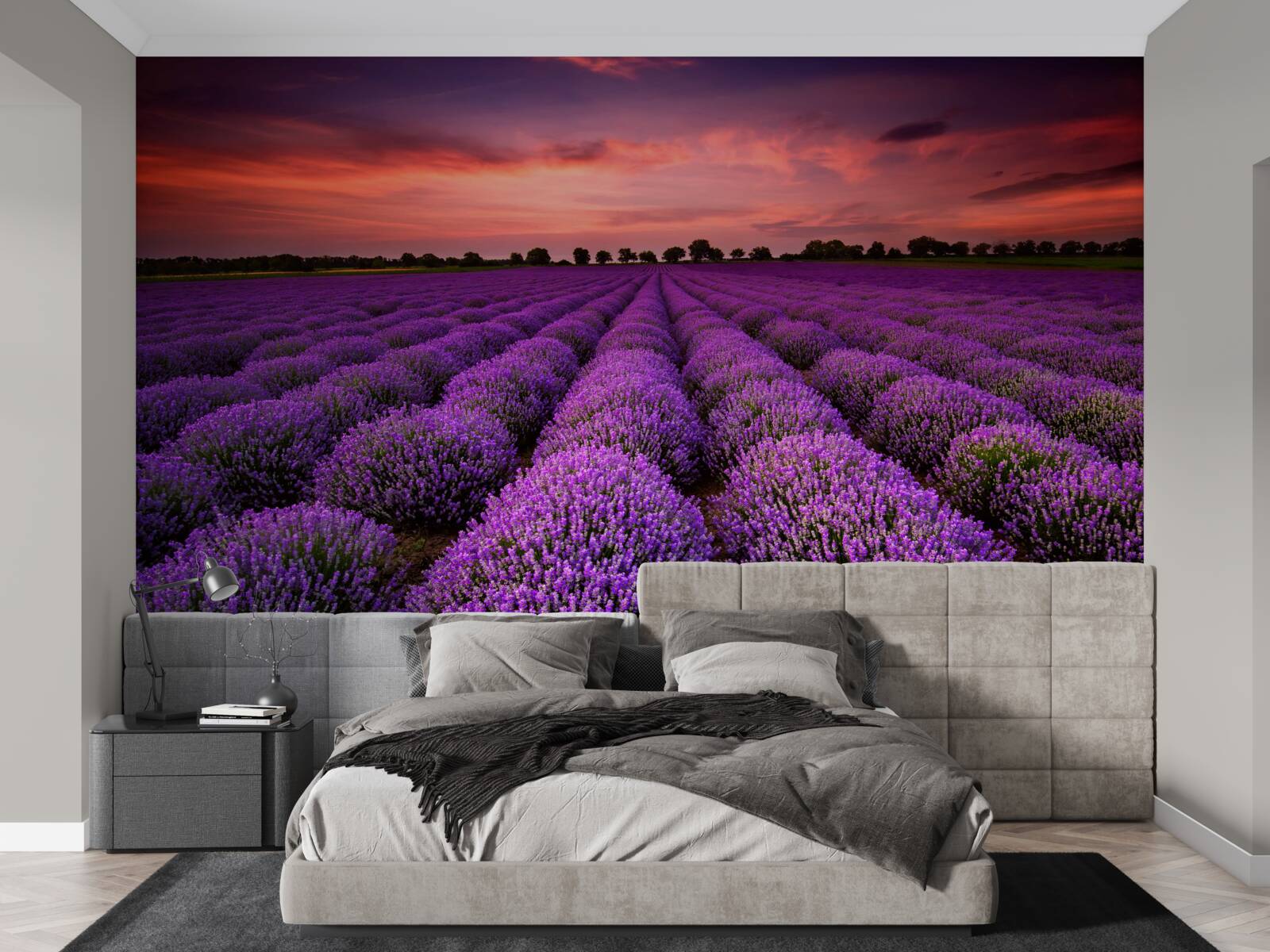 Fotobehang een prachtig lavendelveld