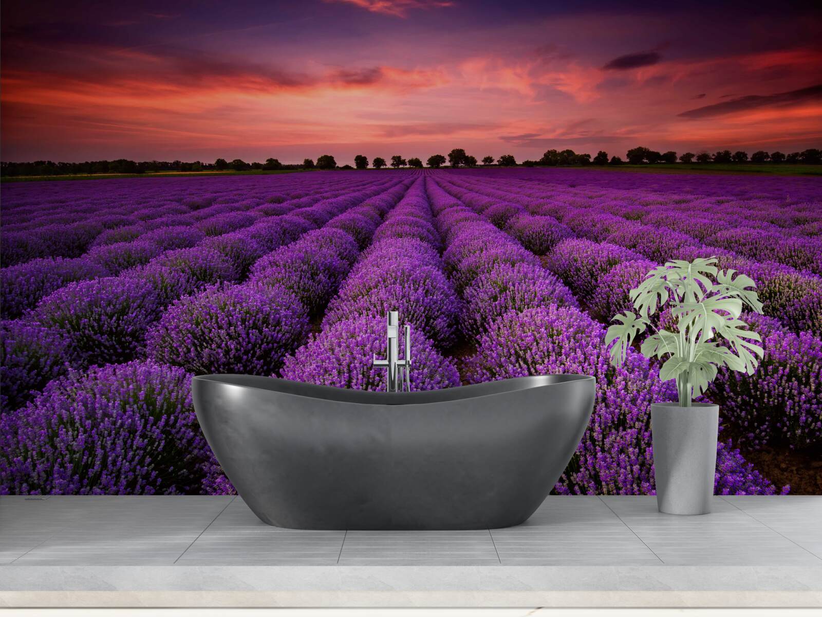 Fotobehang een prachtig lavendelveld