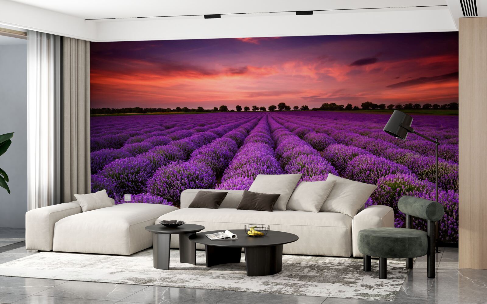 Fotobehang een prachtig lavendelveld