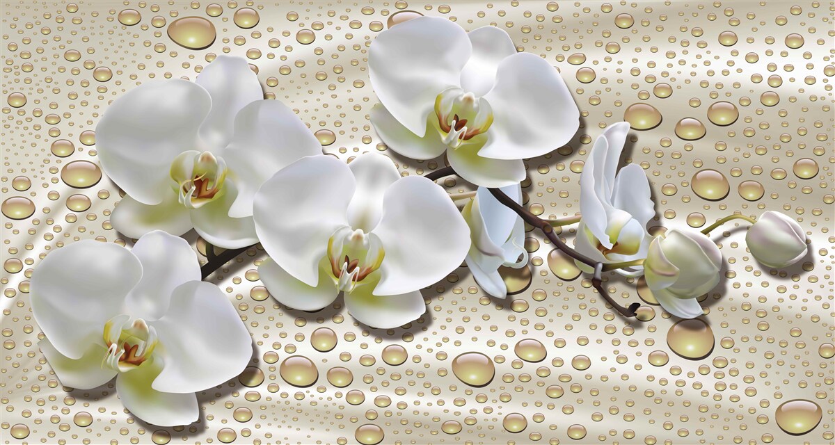 Fotobehang witte orchideeëntak bevochtigd door regen op zijde