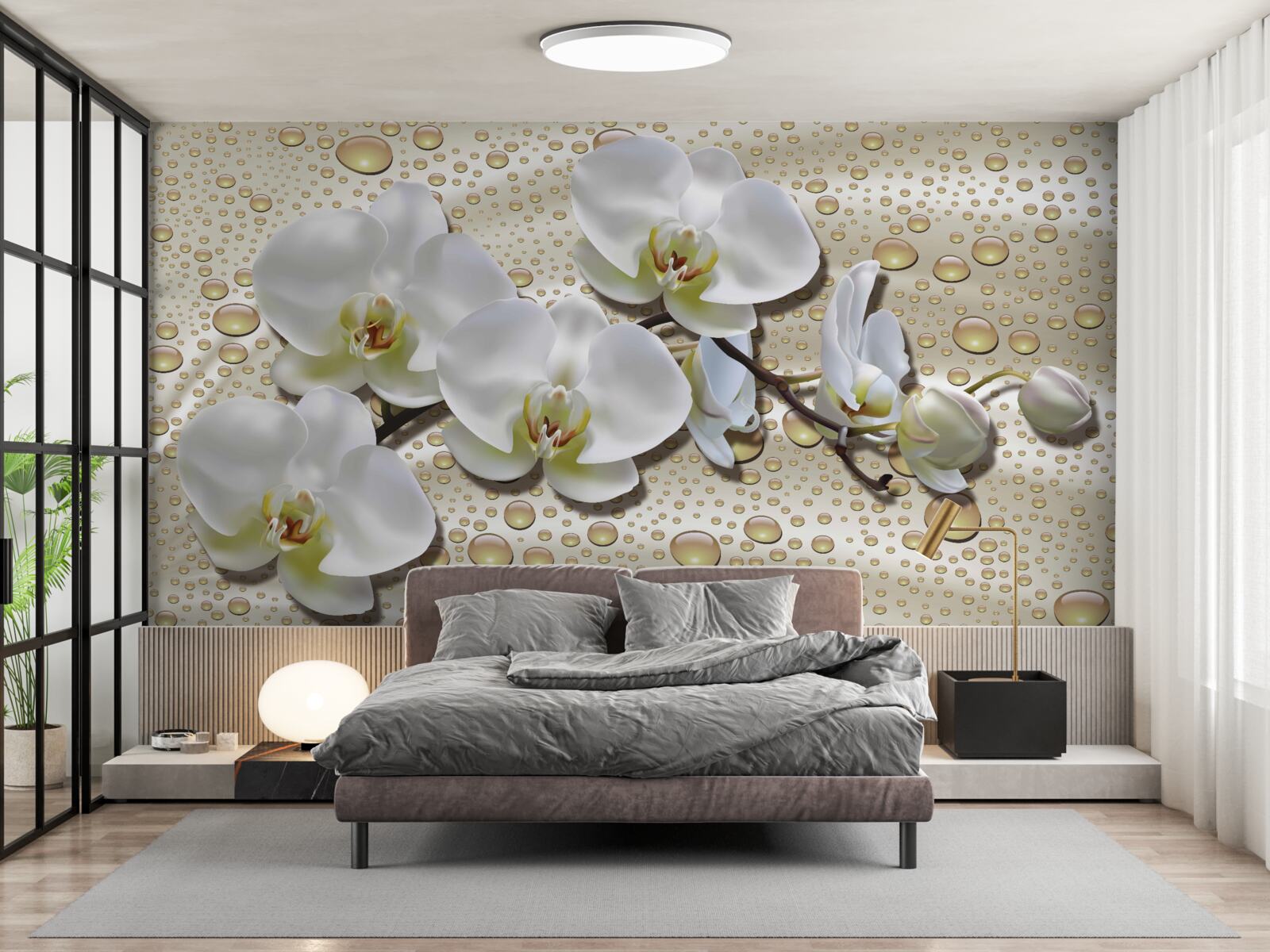 Fotobehang witte orchideeëntak bevochtigd door regen op zijde