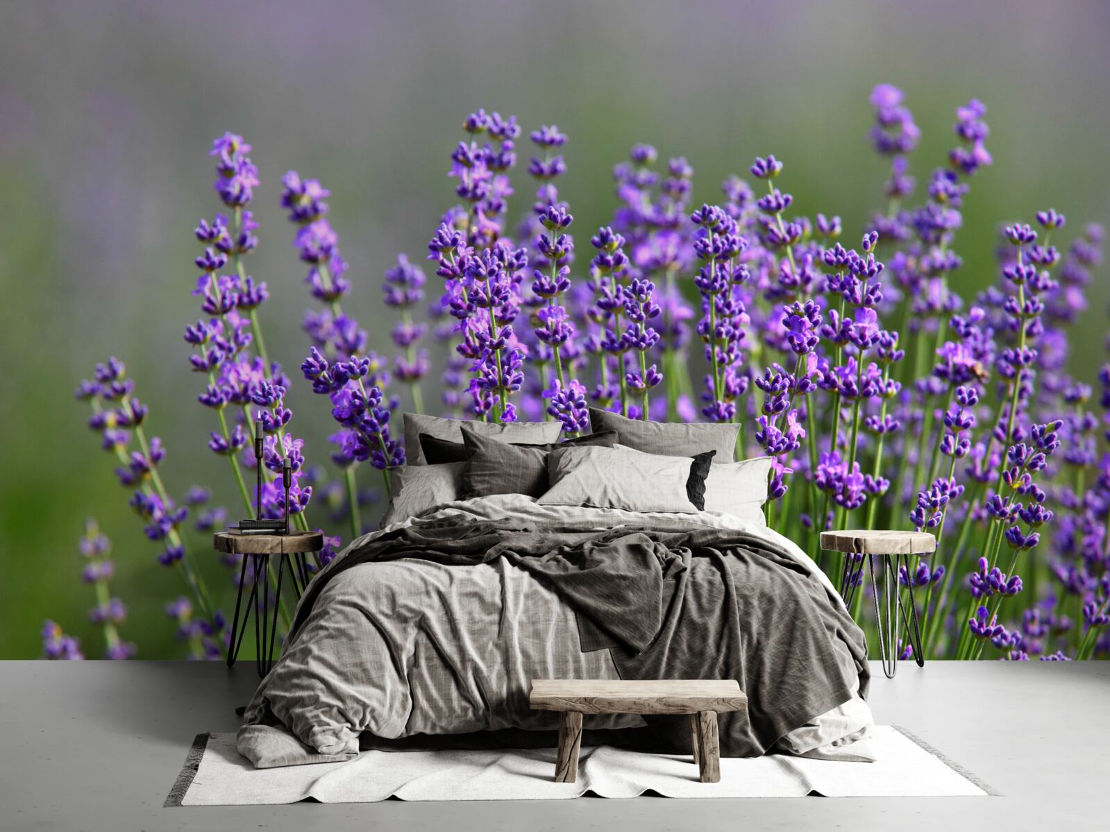 Fotobehang lavendel-paarse kleur