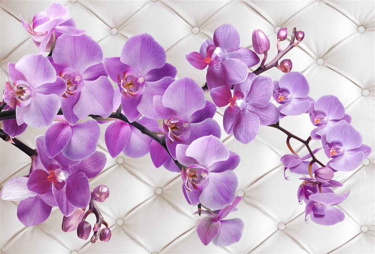 Fotobehang textuur bevat takken van lila orchidee
