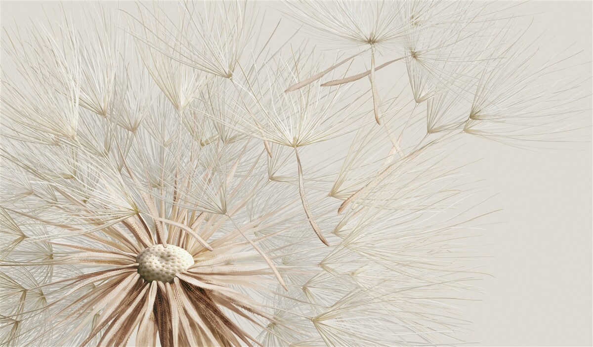 Fotobehang paardenbloemen bloeien onder invloed van de wind