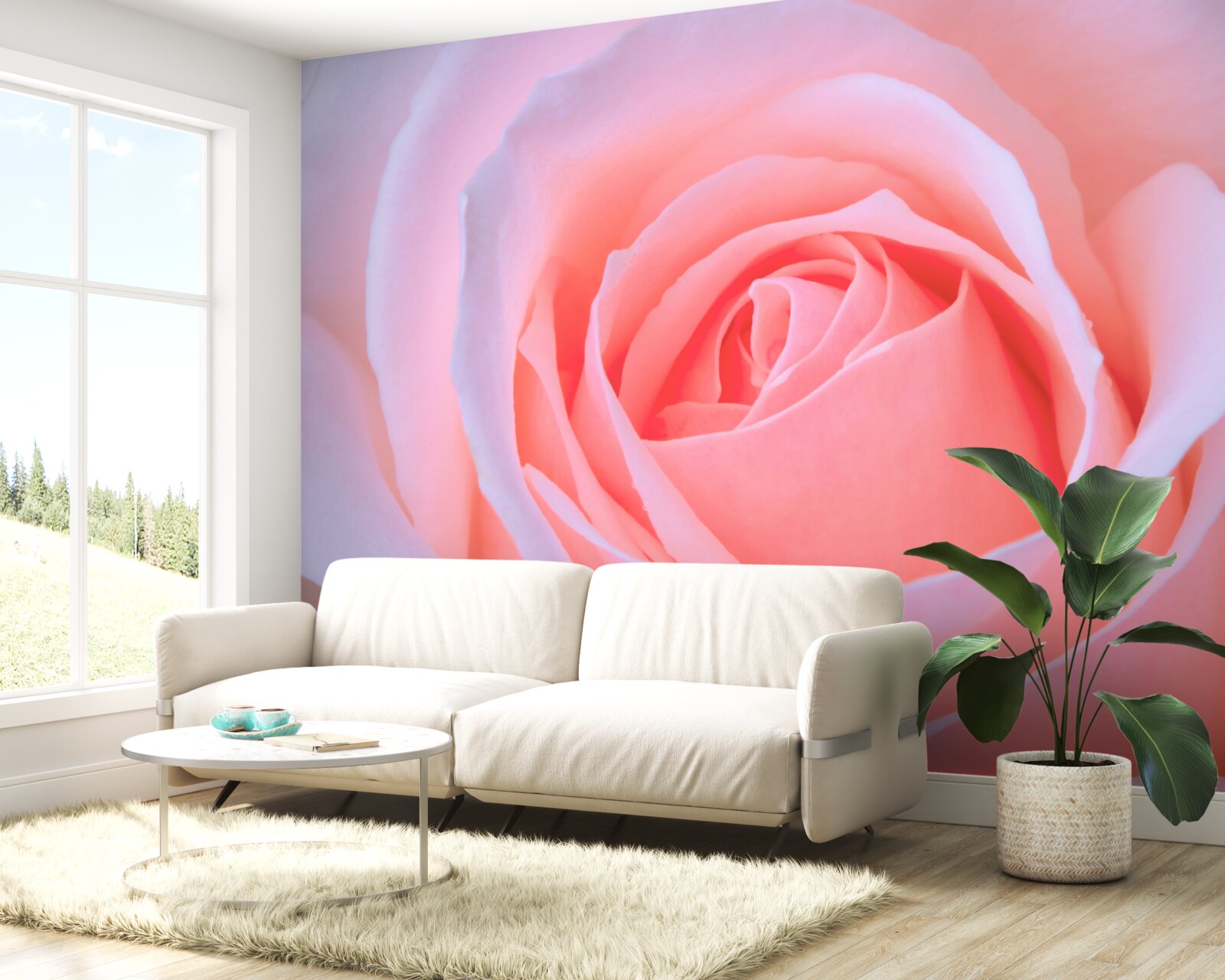 Fotobehang tere roos met prachtige roze bloemblaadjes