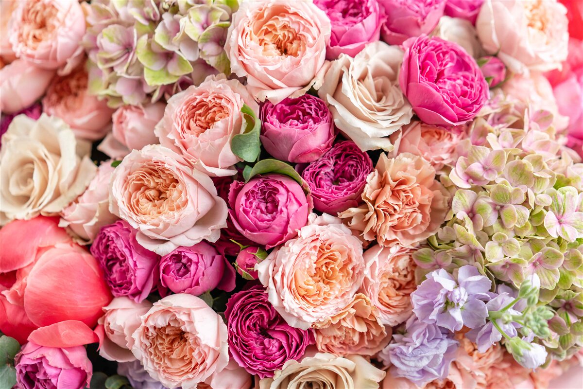 Fotobehang een combinatie van verschillende prachtige rozen in een boeket