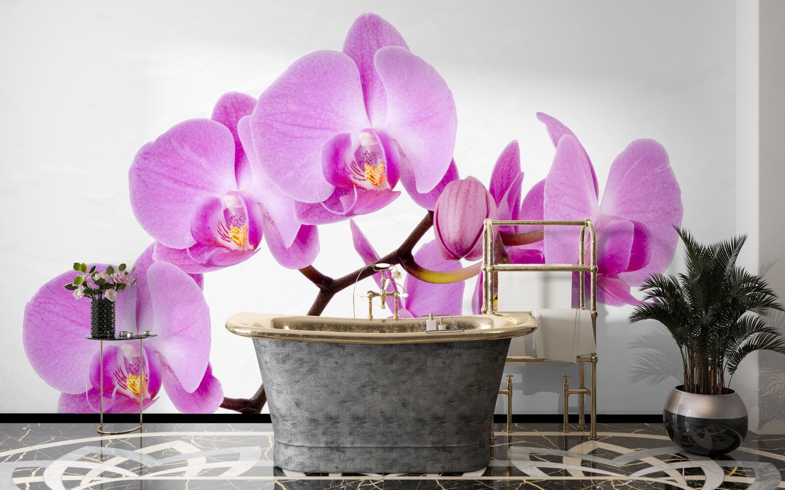 Fotobehang violette afrodiet orchidee