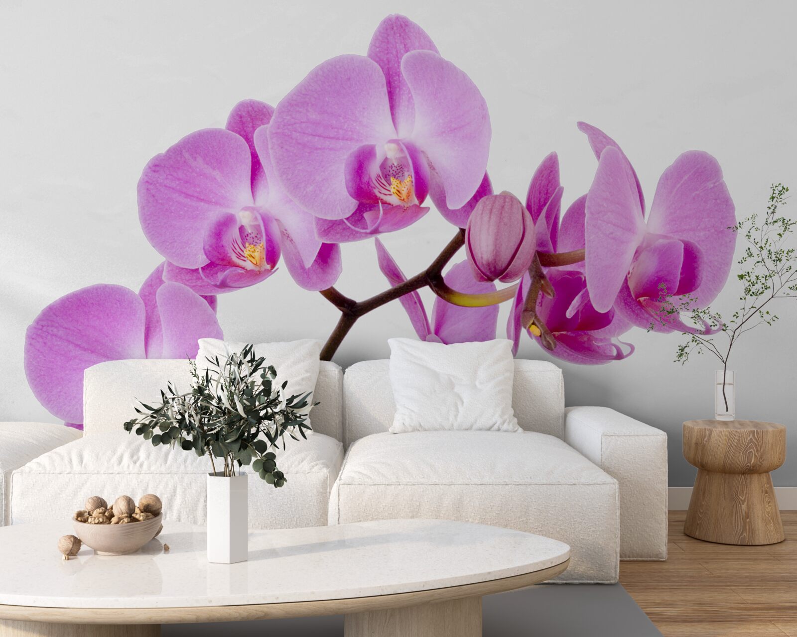 Fotobehang violette afrodiet orchidee