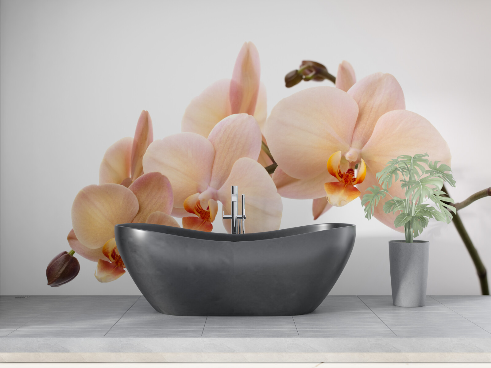 Fotobehang geïsoleerde tak van een perzikorchidee