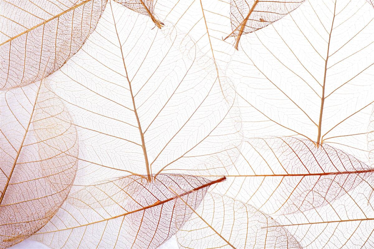 Fotobehang transparante lakens in een zachtroze tint