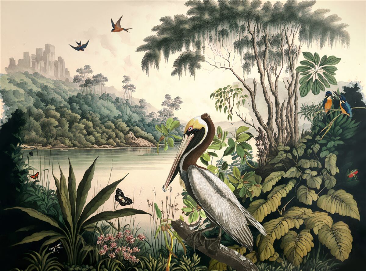 Fotobehang pelikaan zoekt voedsel in meerwater