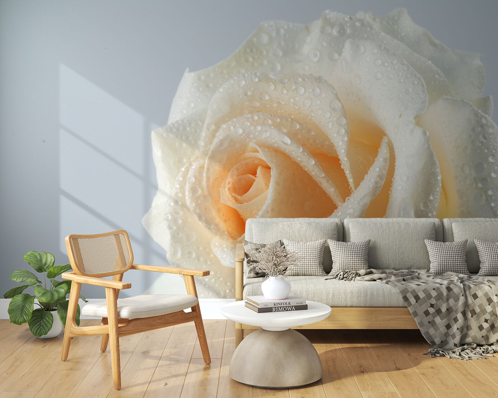 Fotobehang waterdruppels op een romige rozenbloem