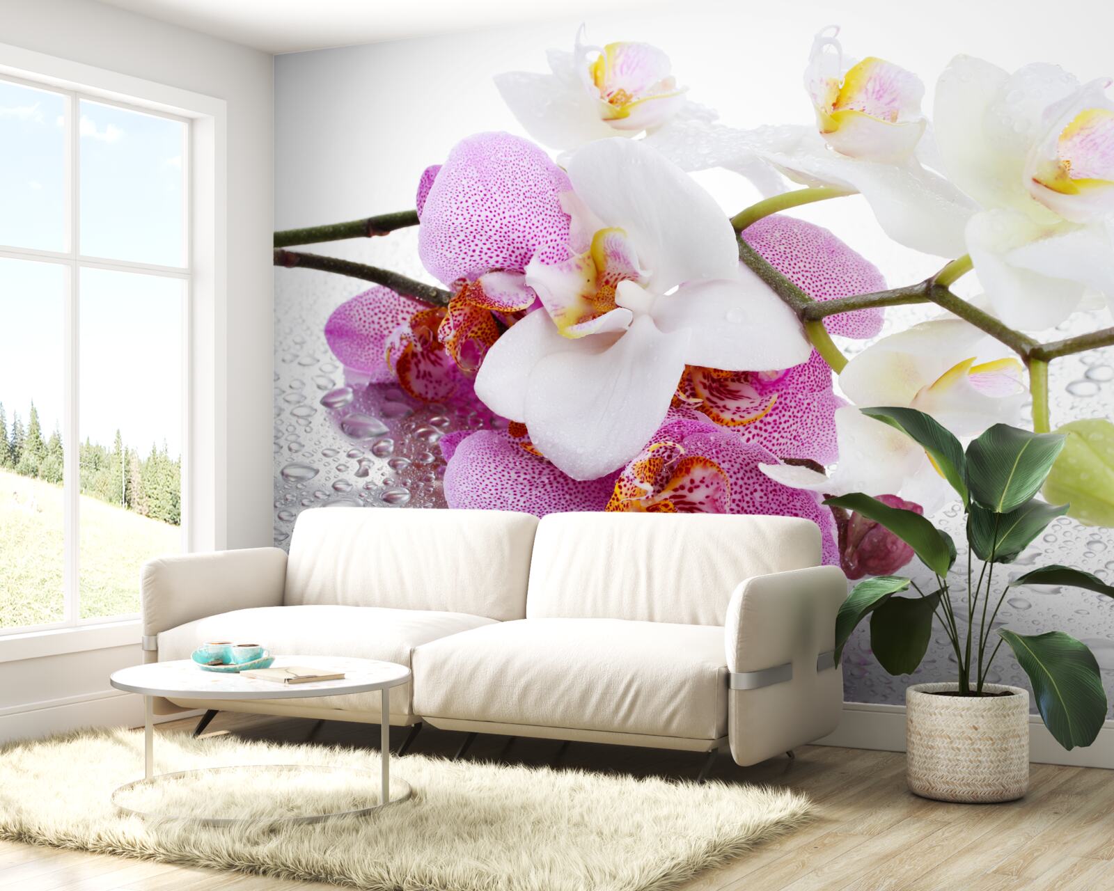 Fotobehang dauwdruppels op de takken van witte en lila orchideeën