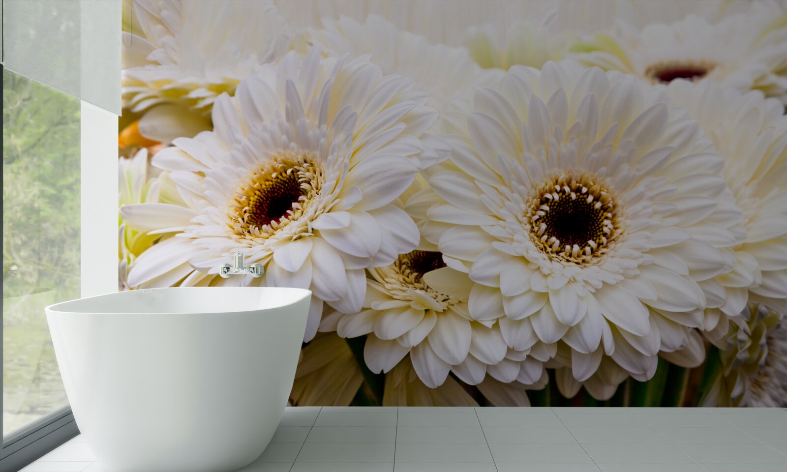 Fotobehang verzameling sneeuwwitte gerbera's