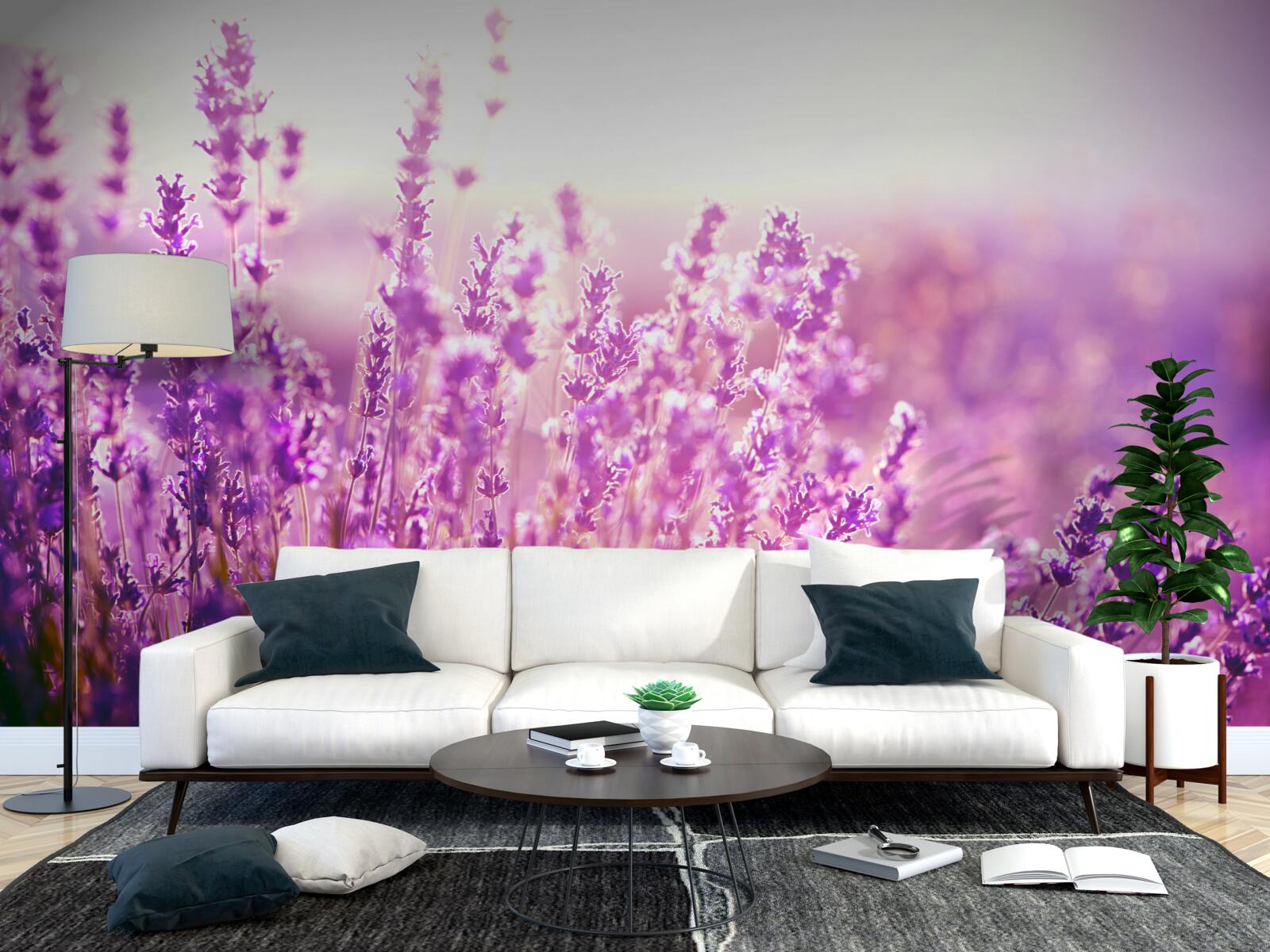 Fotobehang lavendelbloemen bij zonsopgang