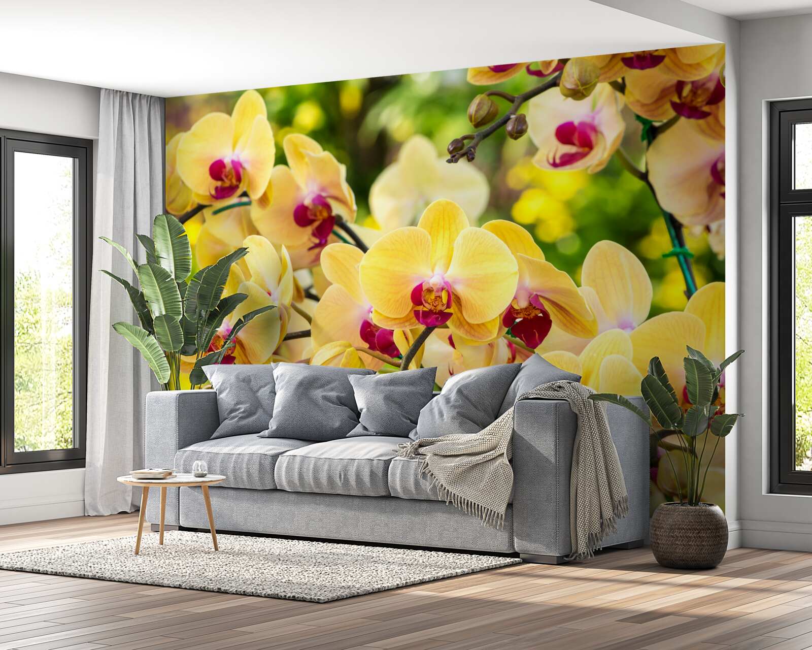 Fotobehang Gele orchideeën in de zomertuin