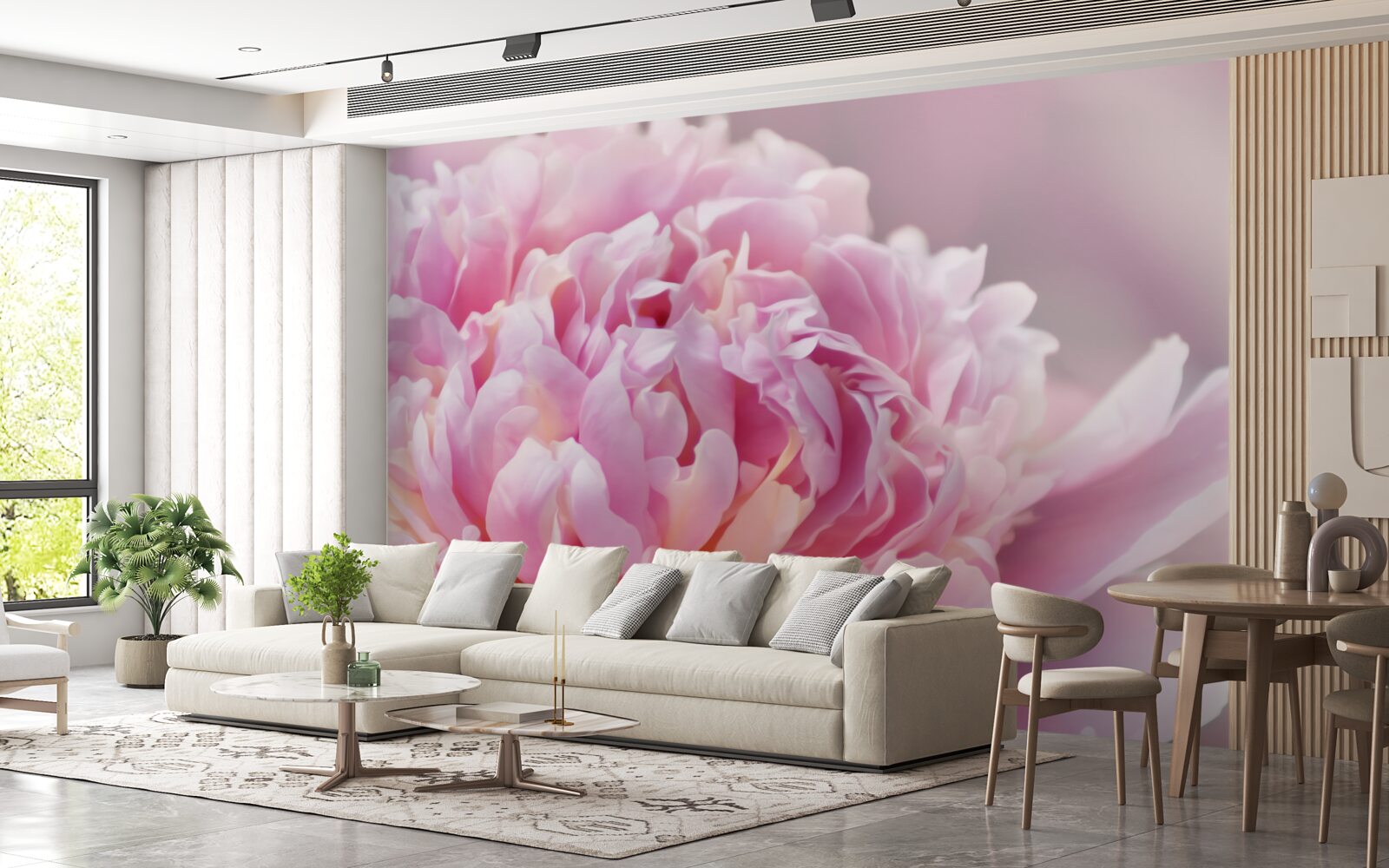 Fotobehang close-up van een bloeiende melkpioenroos