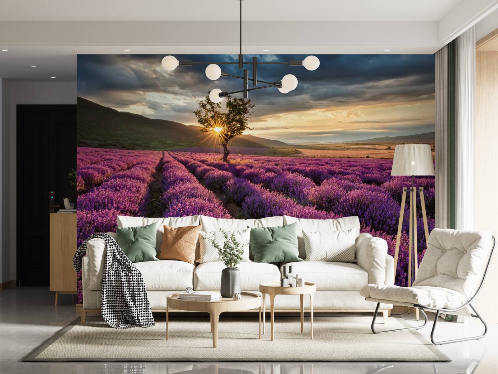 Fotobehang zonsondergang op een lavendelveld rond een geïsoleerde boom