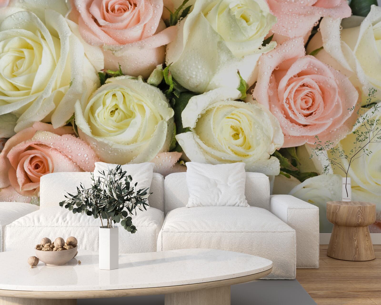 Fotobehang grootte van witte en roze rozenbloemen