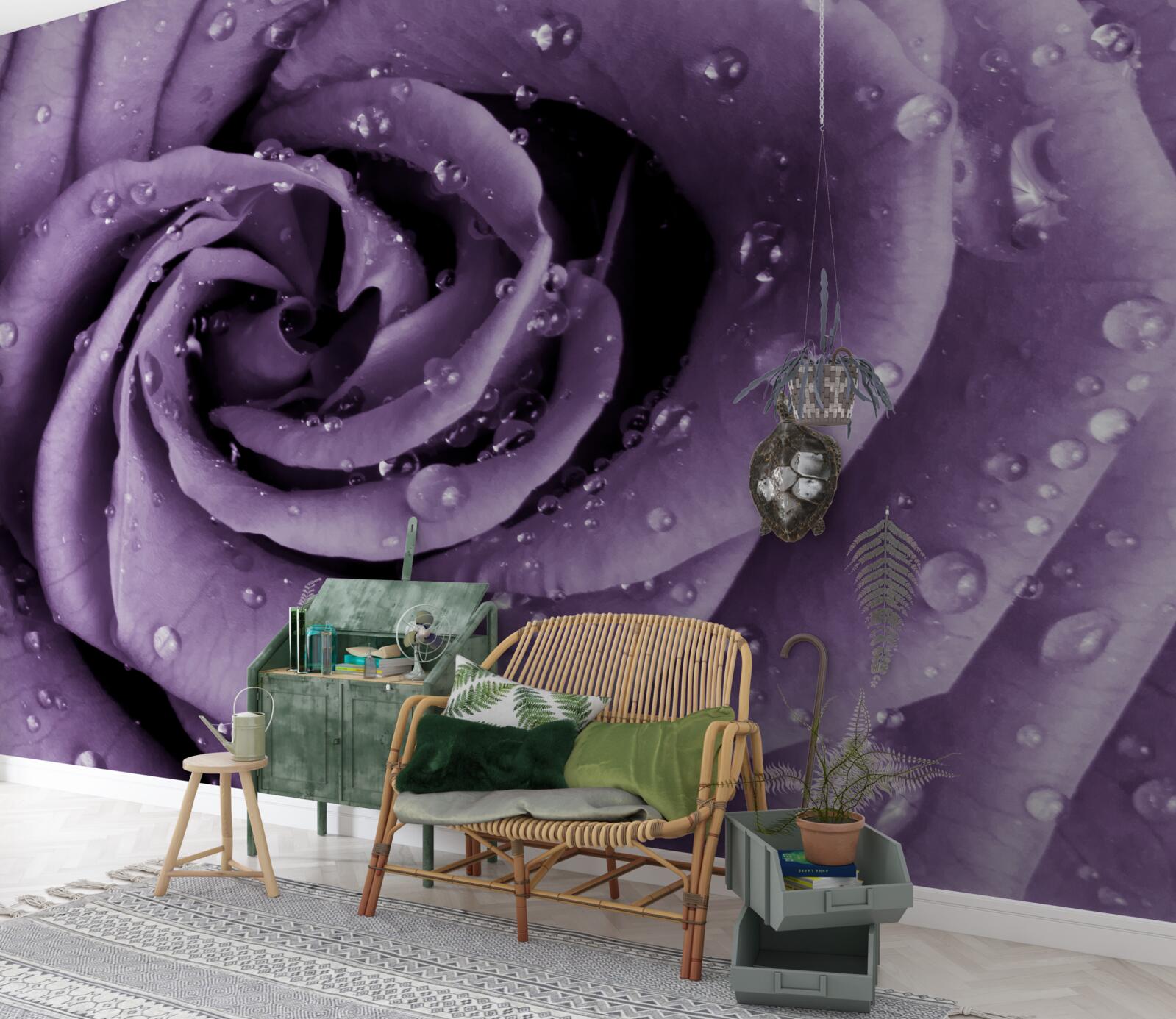 Fotobehang ochtenddauw op een violette roos