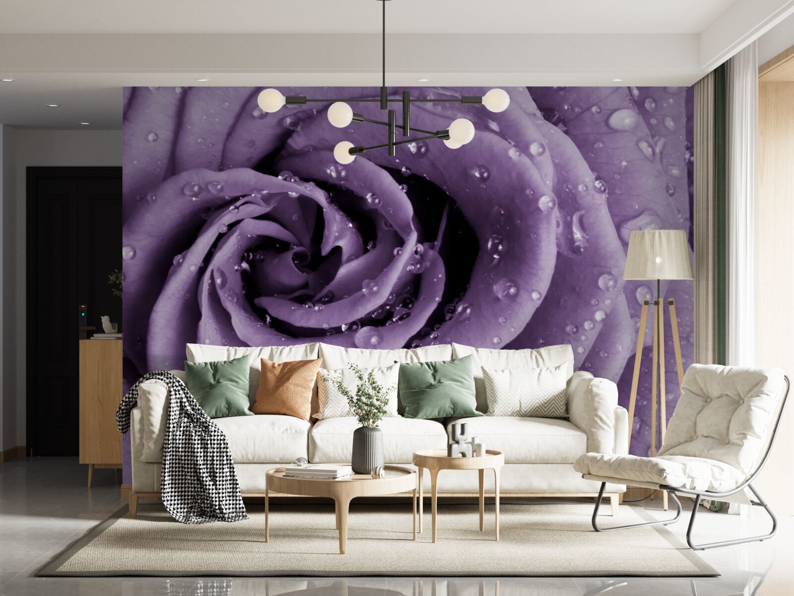 Fotobehang ochtenddauw op een violette roos