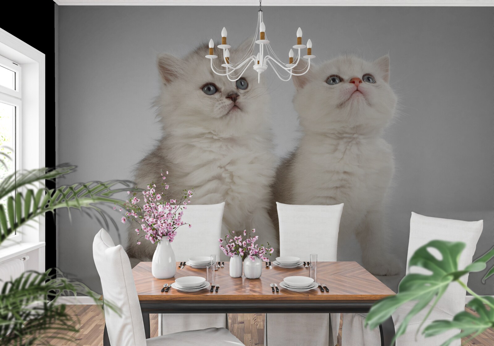 Fotobehang twee kleine katten observeren