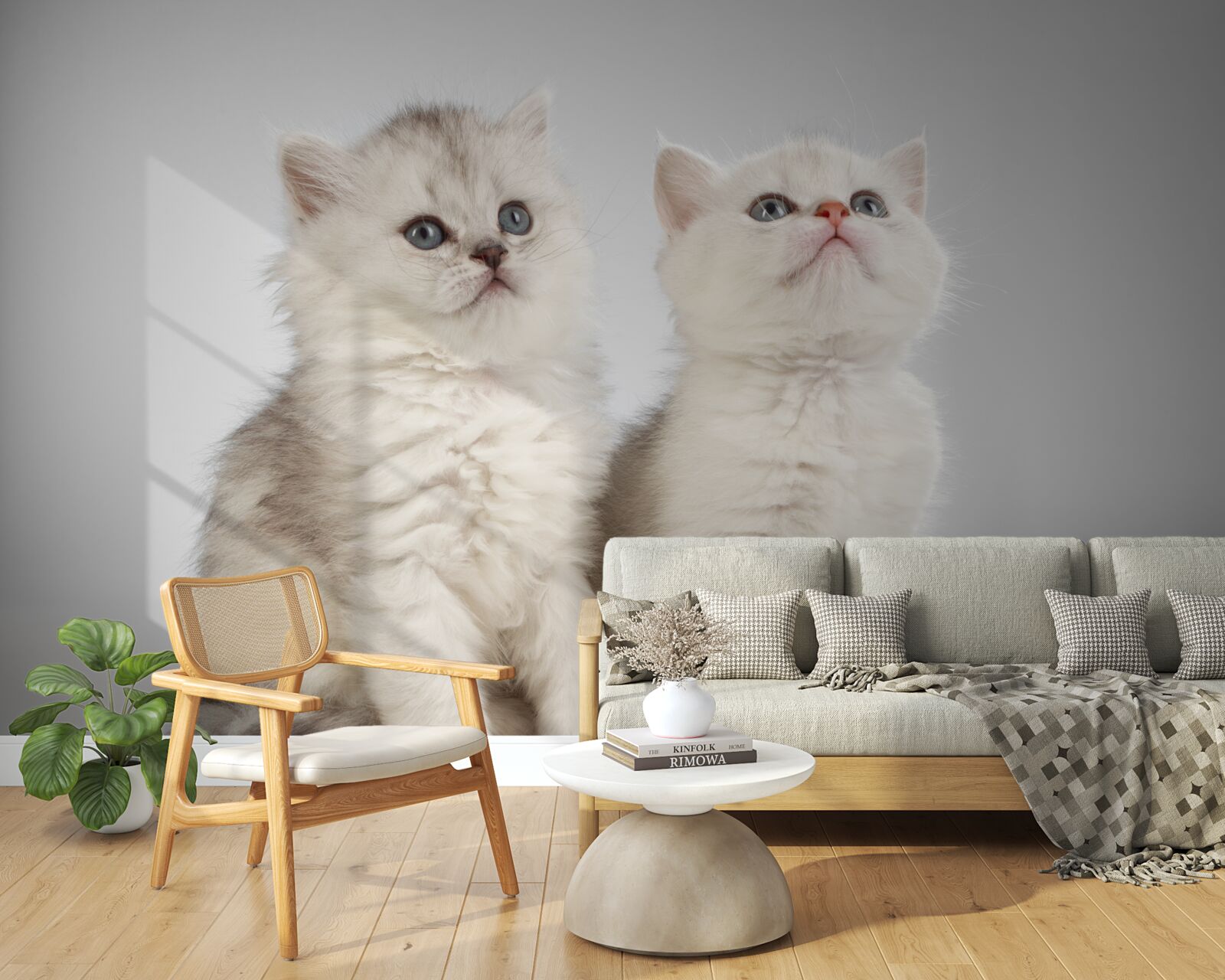 Fotobehang twee kleine katten observeren