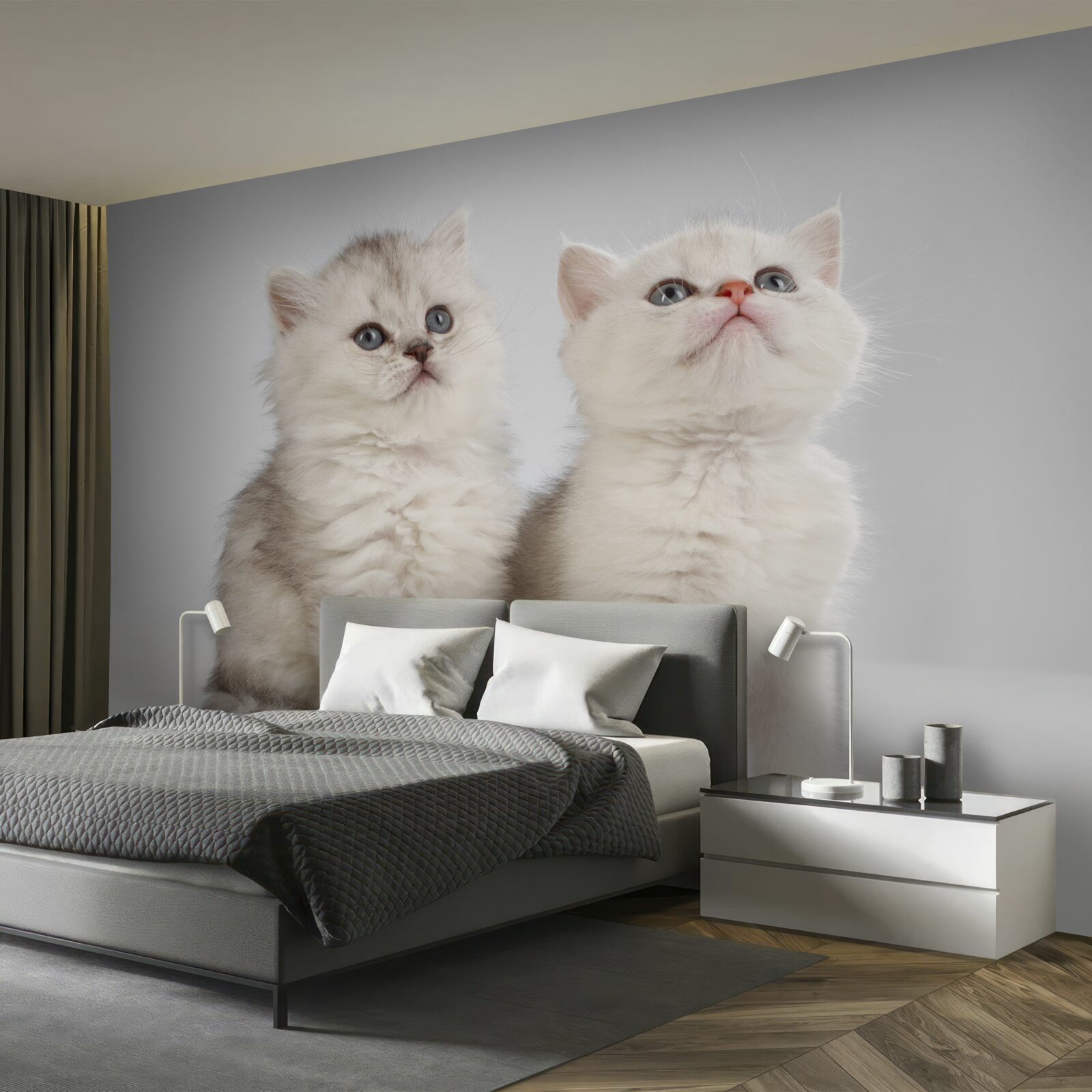 Fotobehang twee kleine katten observeren