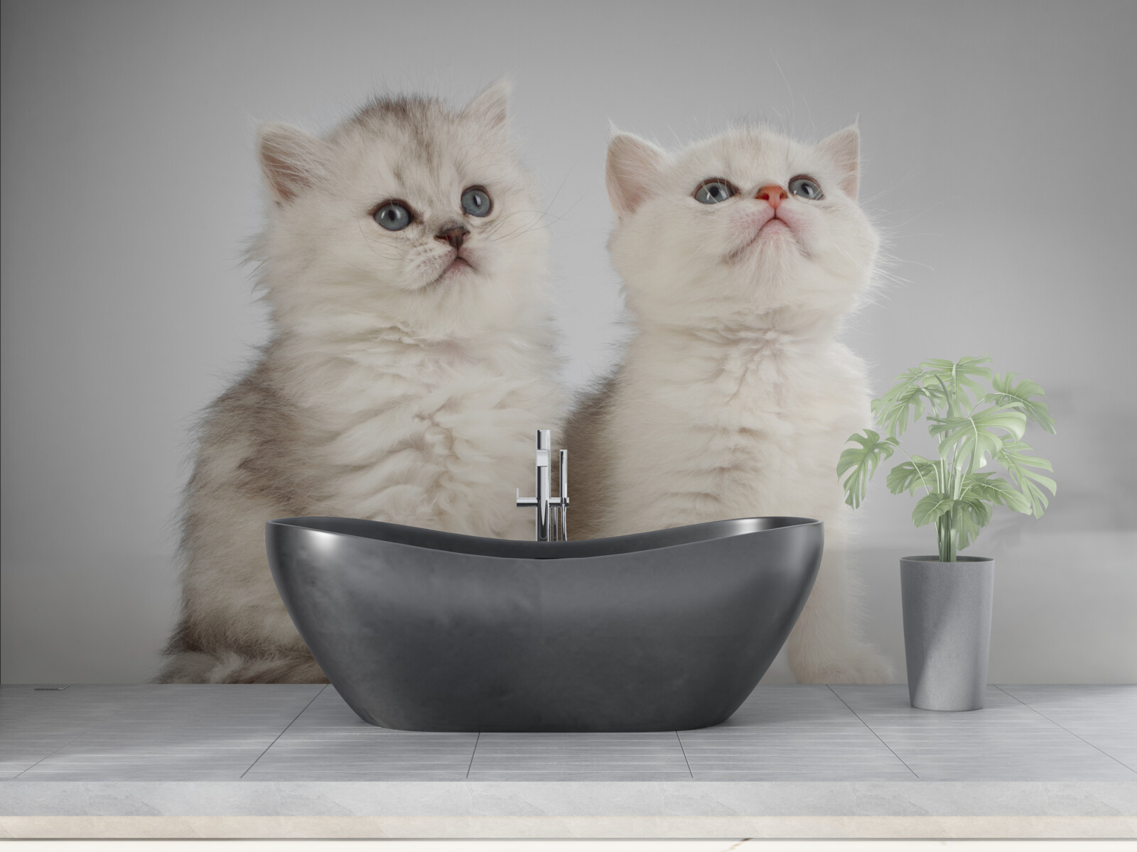 Fotobehang twee kleine katten observeren