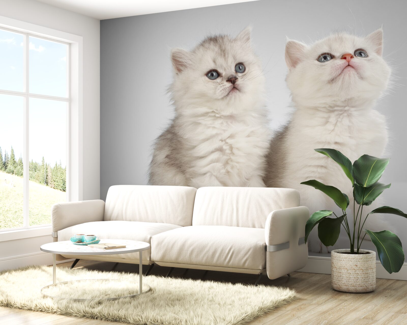 Fotobehang twee kleine katten observeren