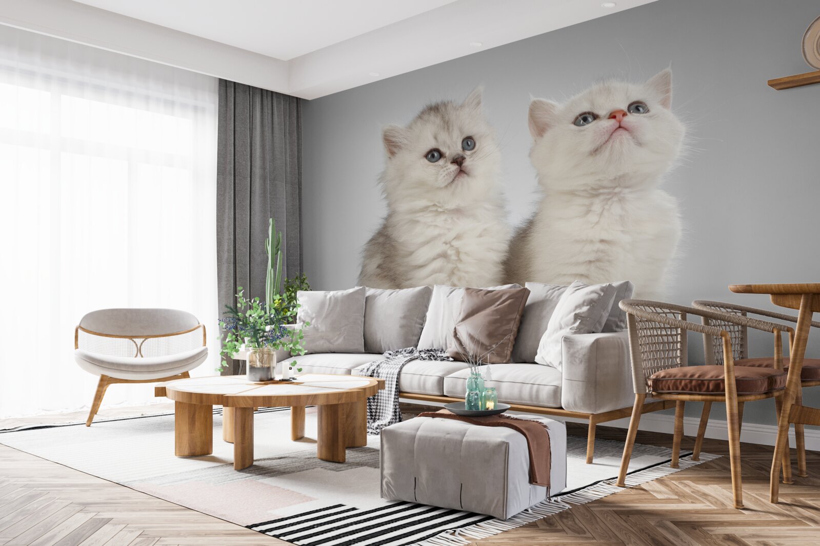 Fotobehang twee kleine katten observeren
